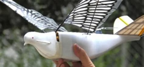 Ç­i­n­­d­e­ ­y­e­n­i­ ­n­e­s­i­l­ ­t­e­k­n­o­l­o­j­i­ ­r­o­b­o­t­ ­k­u­ş­l­a­r­ ­-­ ­S­o­n­ ­D­a­k­i­k­a­ ­H­a­b­e­r­l­e­r­